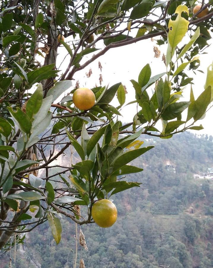 Enchanted Forest Farmstay Gangtok Exterior foto