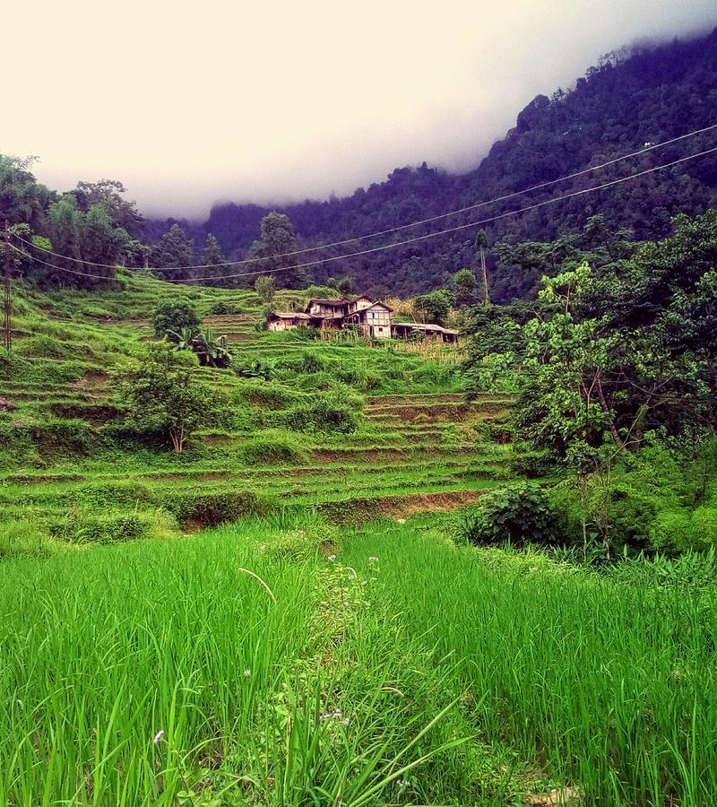 Enchanted Forest Farmstay Gangtok Exterior foto