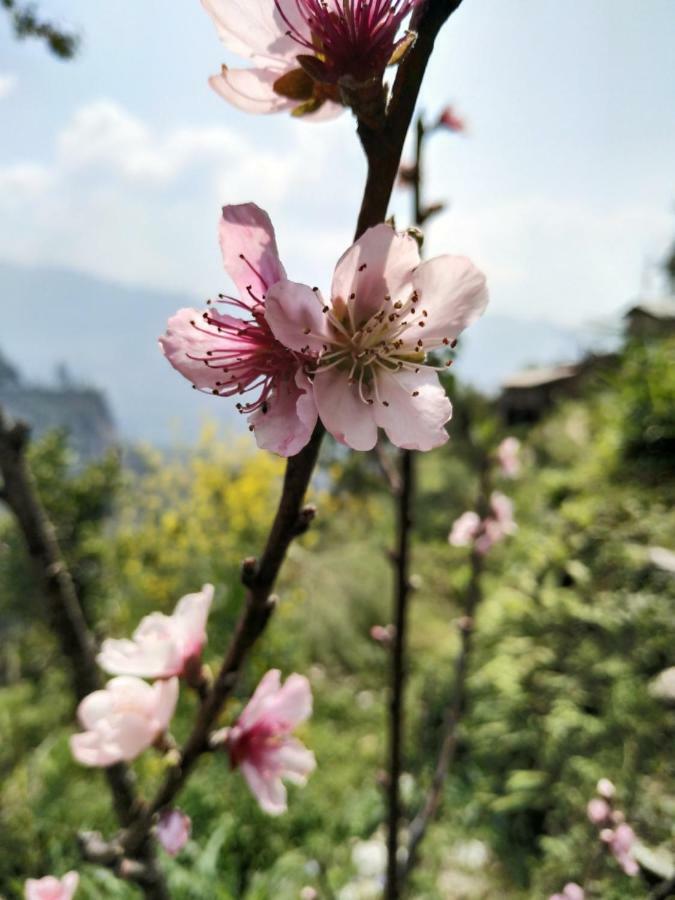 Enchanted Forest Farmstay Gangtok Exterior foto
